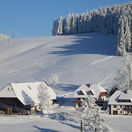 Oberengenbachhof Eisenbach (Breisgau-Hochschwarzwald) Exterior foto
