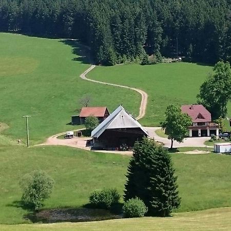 Oberengenbachhof Eisenbach (Breisgau-Hochschwarzwald) Exterior foto