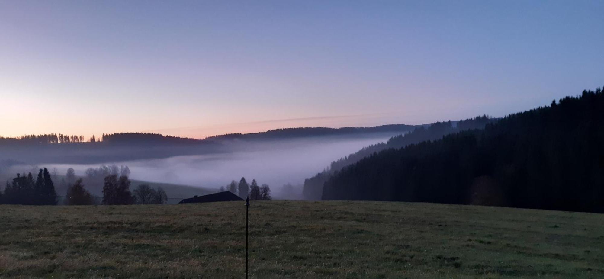 Oberengenbachhof Eisenbach (Breisgau-Hochschwarzwald) Exterior foto