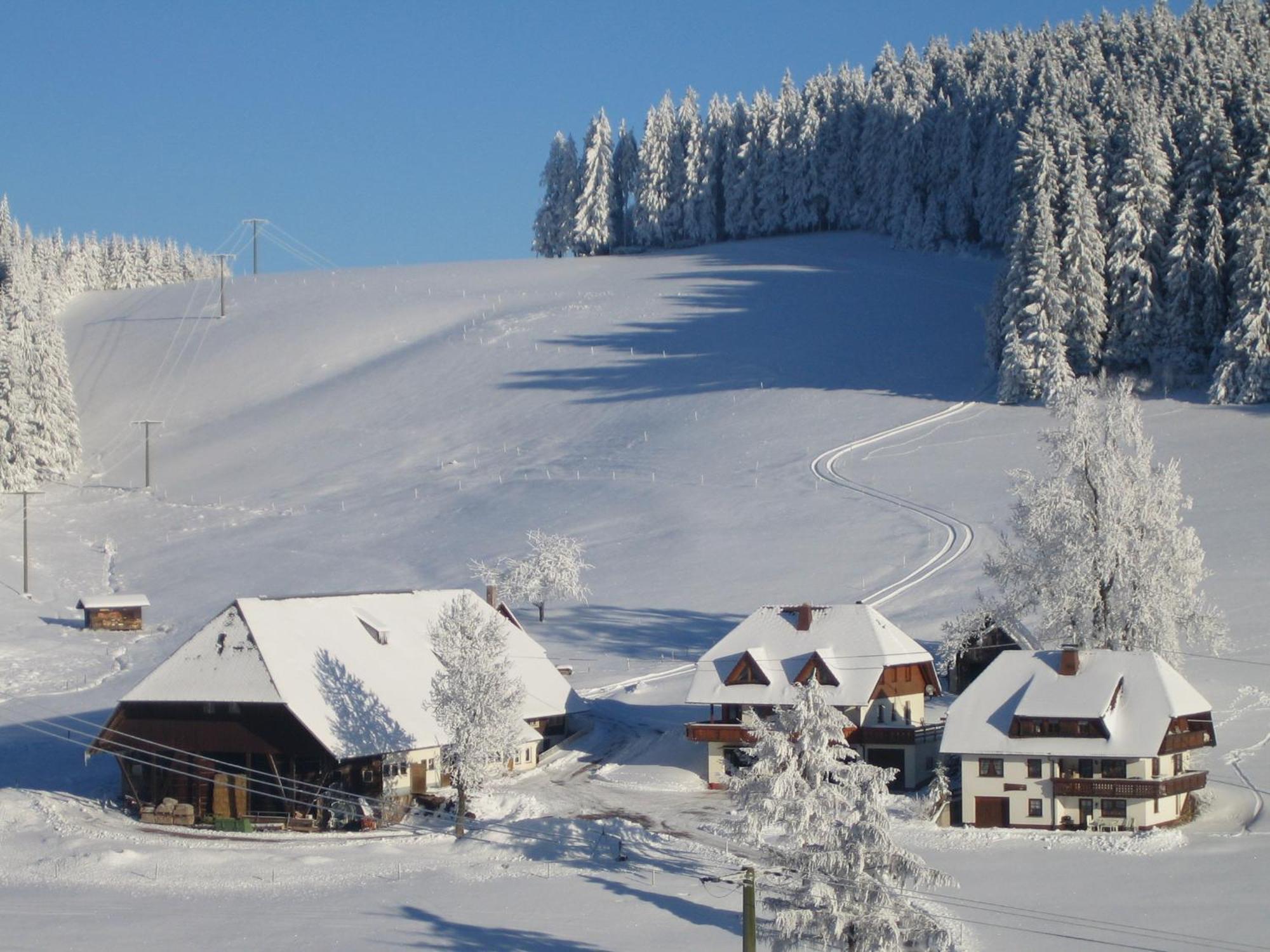 Oberengenbachhof Eisenbach (Breisgau-Hochschwarzwald) Exterior foto