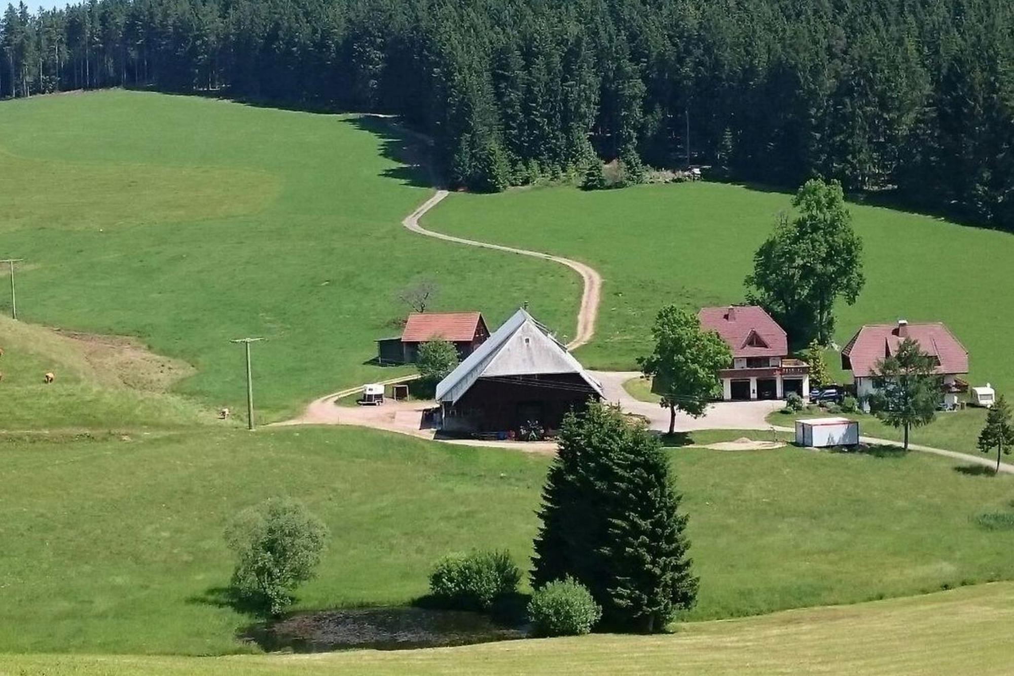 Oberengenbachhof Eisenbach (Breisgau-Hochschwarzwald) Exterior foto